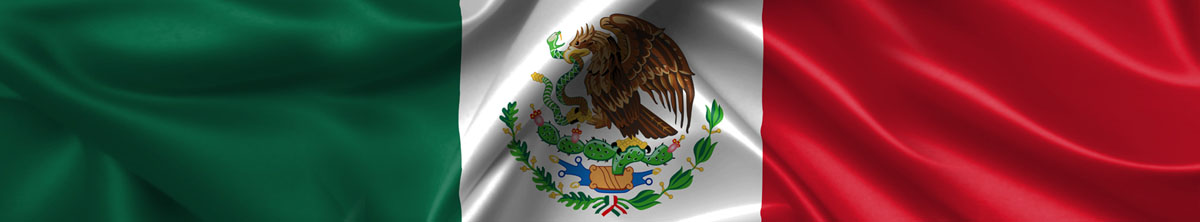 Mexico Flag