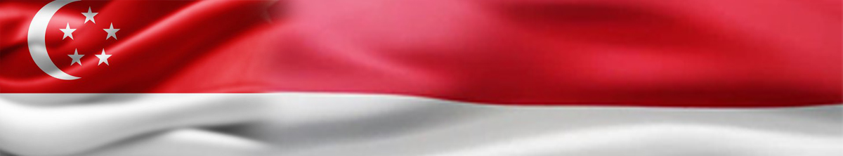 Singapore flag